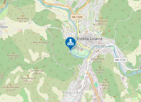 Map of MANANTIAL AGUA SALADA ESTELLA/LIZARRA PM1