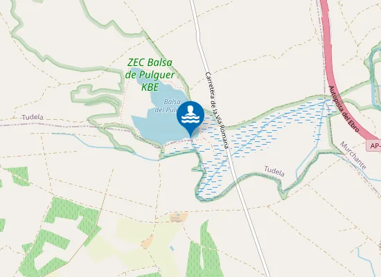 Map of Balsa El Pulguer Tudela Pm1