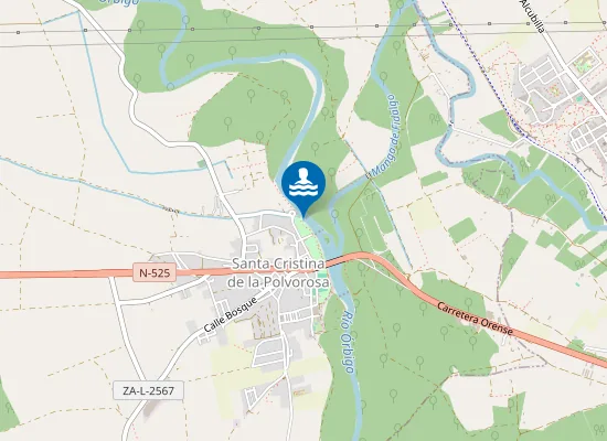 Map of RIO ORBIGO SANTA CRISTINA DE LA POLVOROSA PM1