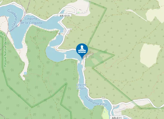 Map of LAGUNA LA SALVADORA OSSA DE MONTIEL PM1