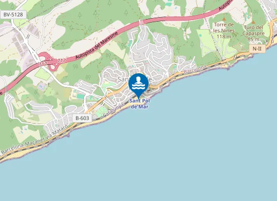 Map of PLAYA DE LES BARQUES PM1