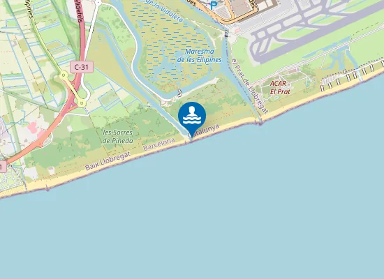 Map of PLAYA DEL REMOLAR-PINEDA DE CAN FRANC?S PM1