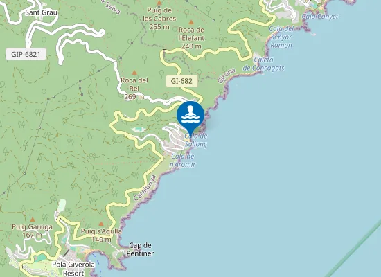 Map of PLAYA CALA SALION? PM1