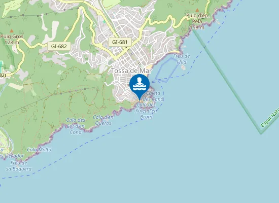 Map of PLAYA D'ES CODOLAR PM1