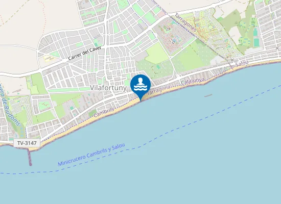 Map of PLAYA DE VILAFORTUNY PM1