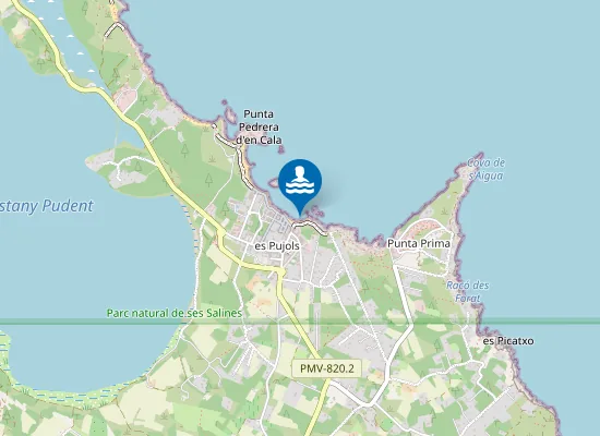 Map of PLAYA ES PUJOLS PM1