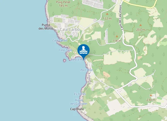 Map of PLAYA CALA D'HORT PM1