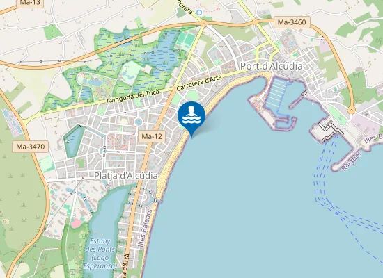 Map of PLAYA PORT D'ALC?DIA PM2