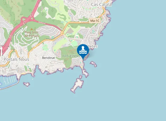 Map of PLAYA CALA COMTESSA (ILLETES) PM1