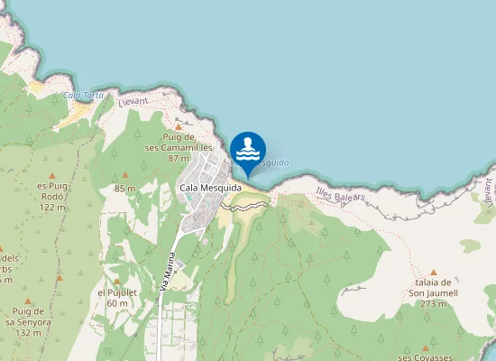 Map of PLAYA CALA MESQUIDA PM1
