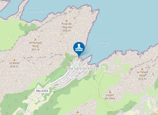 Map of PLAYA CALA BARQUES (CALA SANT VICEN?) PM1