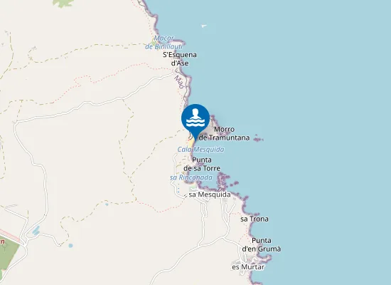 Map of PLAYA CALA MESQUIDA PM1