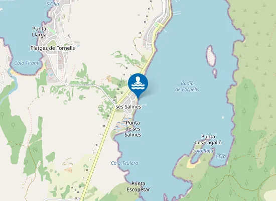 Map of PLAYA SES SALINES PM1