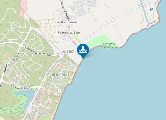 Map of PLAYA PALOMARES PM1