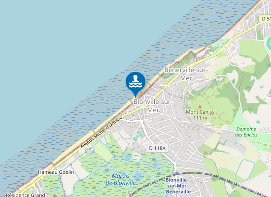 Map of RUE LAFORGE - BLONVILLE EST