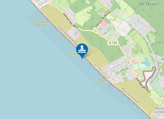 Map of LES SALINS