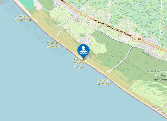 Map of LA PAREE DU JONC