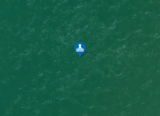 Satellite image of LA LAGUNE