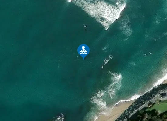 Satellite image of PARLEMENTIA