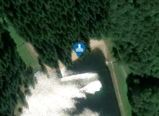 Satellite image of PLAN D'EAU DE LA FORET