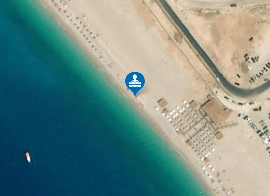 Satellite view of PALASE