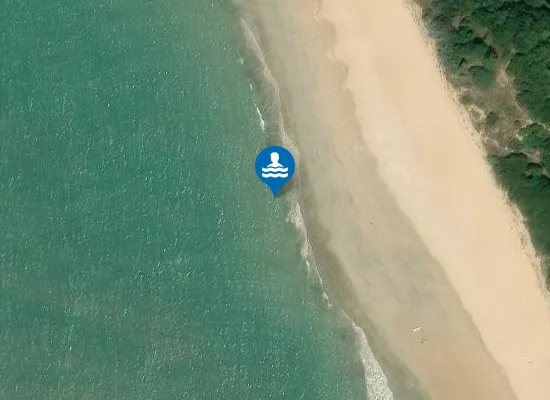 Satellite image of PLAGE LA REMIGEASSE