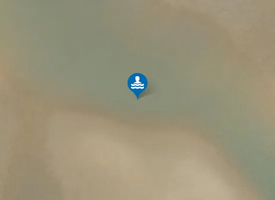 Satellite image of PLAGE DES PINS DU CORDOUAN