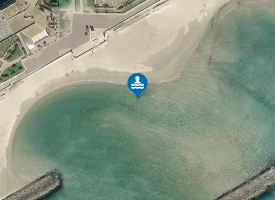 Satellite image of RIVE DROITE - L'ALBATROS