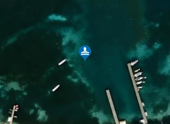 Satellite image of ILE STE MARGUERITE OUEST