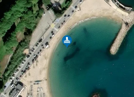 Satellite image of DAUPHINS