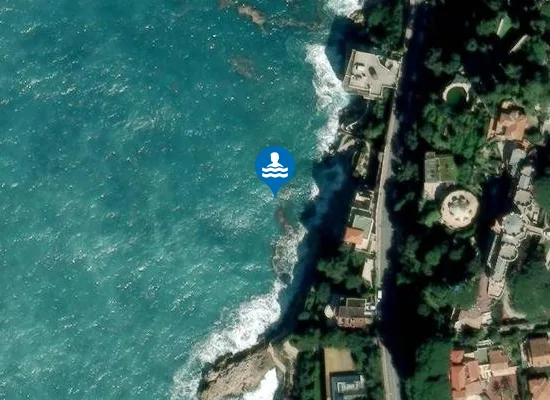 Satellite image of COCO BEACH