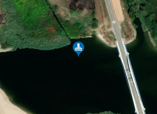 Satellite image of PONT DU LIAMONE