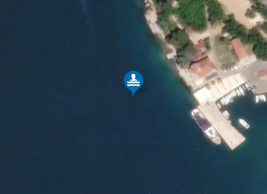 Satellite image of BUFFET RIVA