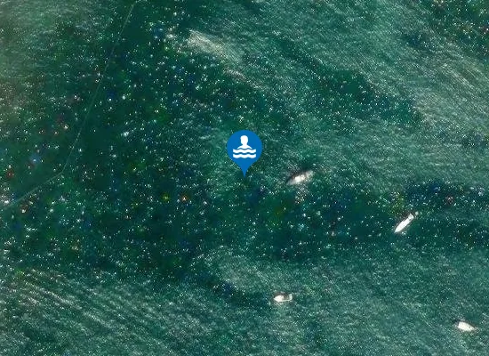 Satellite image of NOVIGRAD KARPINJAN