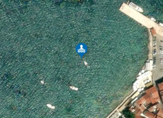 Satellite image of NOVIGRAD SV PELAGIJ