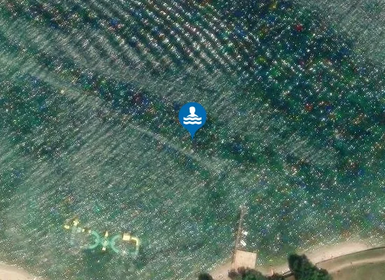 Satellite image of CERVAR PORAT