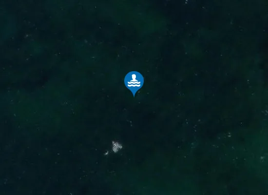 Satellite image of BISHOPSQUARTER