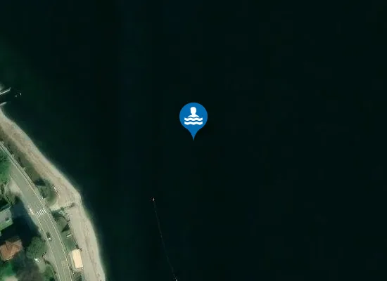 Satellite image of SPIAGGIA PONTE RONCORONI