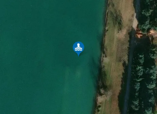 Satellite image of ZONA BOSCHIVA 1000