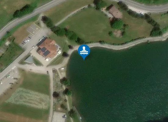 Satellite image of LAGO RONCONE