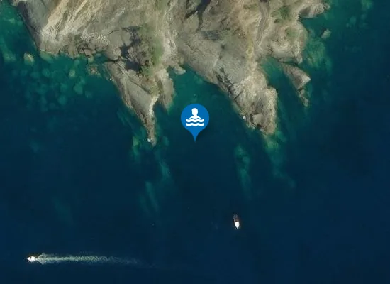 Satellite image of PUNTA MONEGLIA