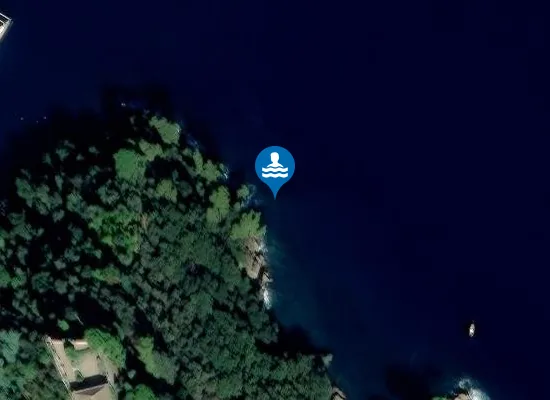 Satellite image of ZONA OLIVETTA