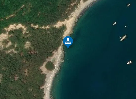 Satellite image of ISOLA PALMARIA POZZALE