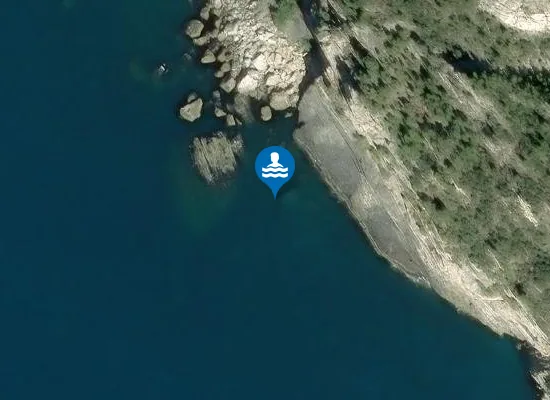 Satellite image of LE NERE