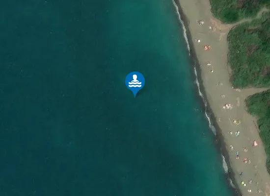 Satellite image of PINETA NORD DI BIBBONA