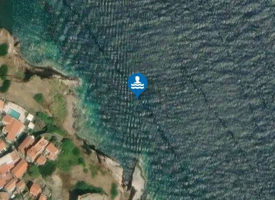 Satellite image of CAPRAIA SUD-EST