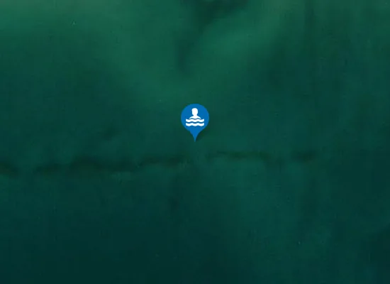 Satellite image of TORRE DEL SALE