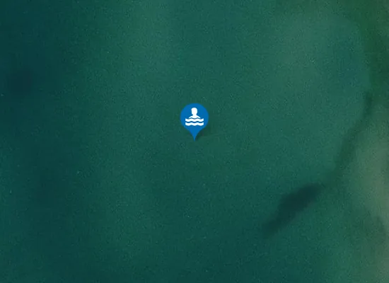 Satellite image of BICCHI