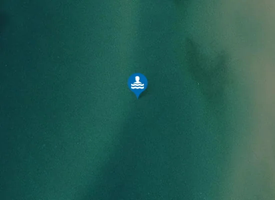 Satellite image of IL FORTINO