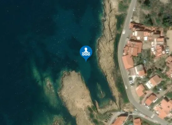 Satellite image of CAMPESE TORRE